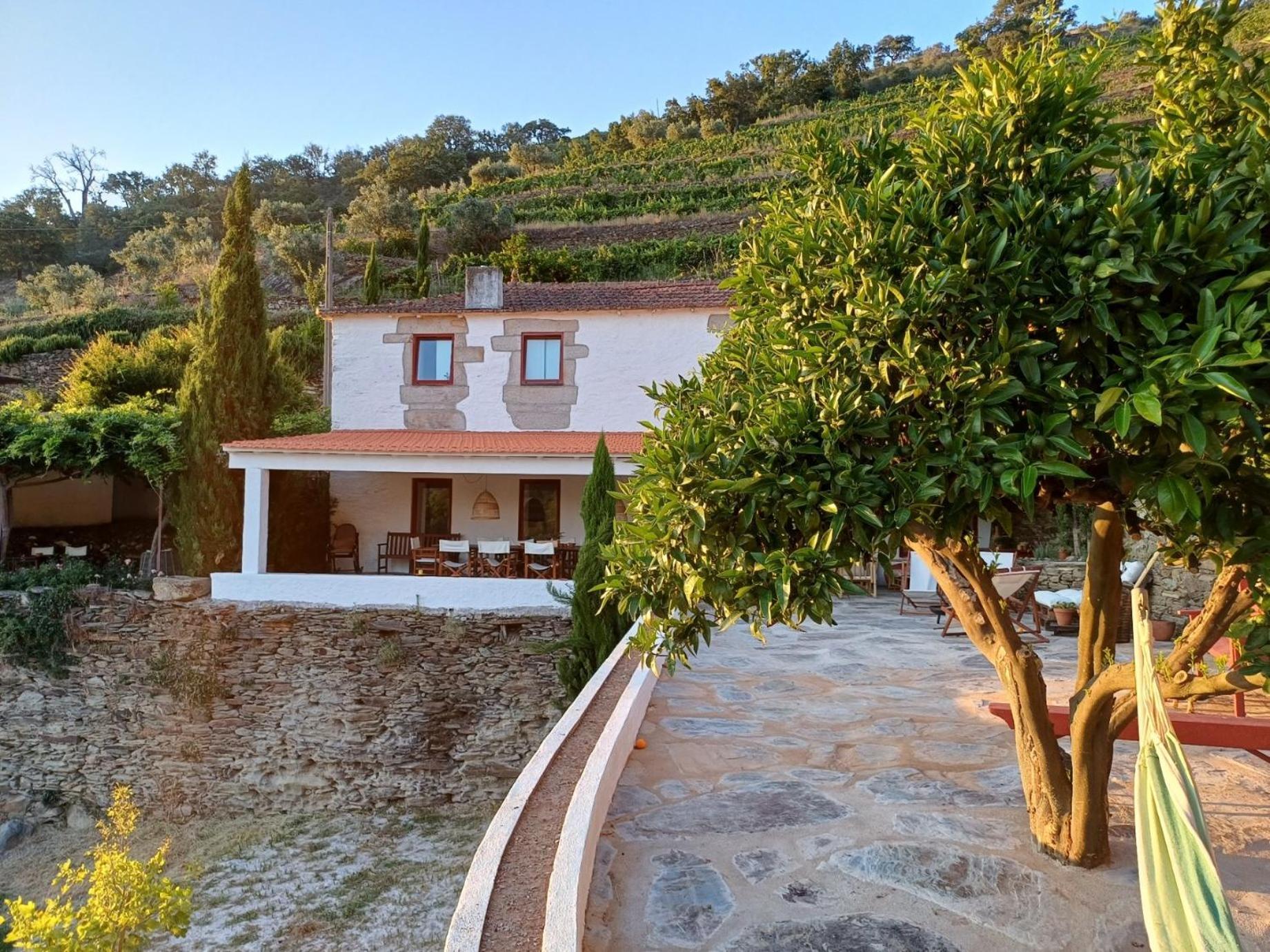 Country House Quinta Da Salgueira Alijo Luaran gambar